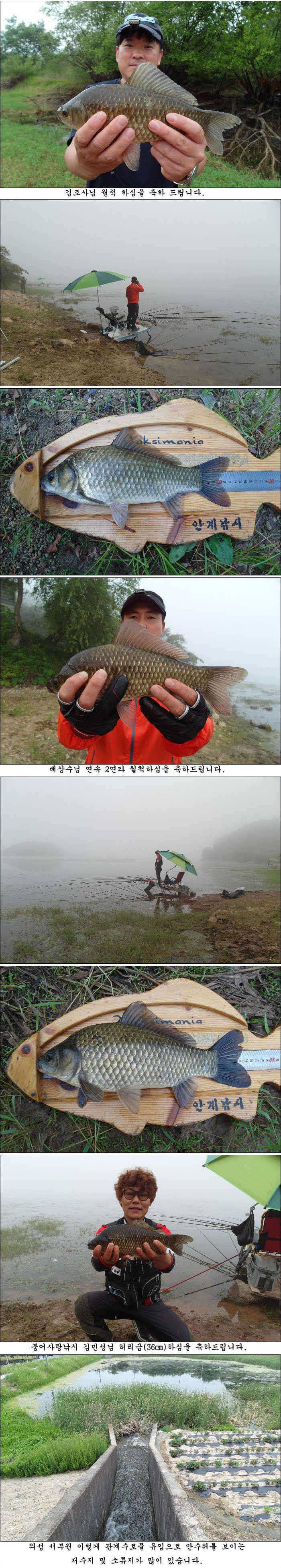 조금씩 살아나는 조황 (조황조행기 - 특파원조황)