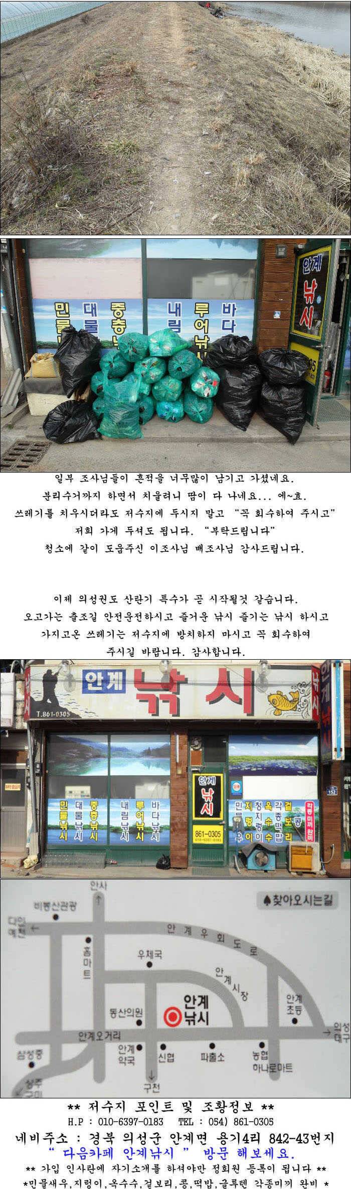 좋은날씨 멋진 봄 붕어들 (조황조행기 - 특파원조황)
