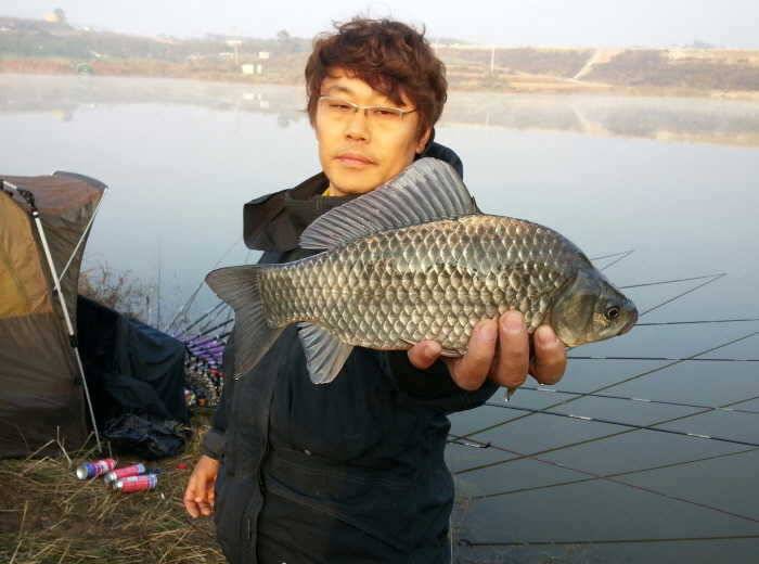허리급 마릿수에 월척 마릿수 조황 (조황조행기 - 특파원조황)