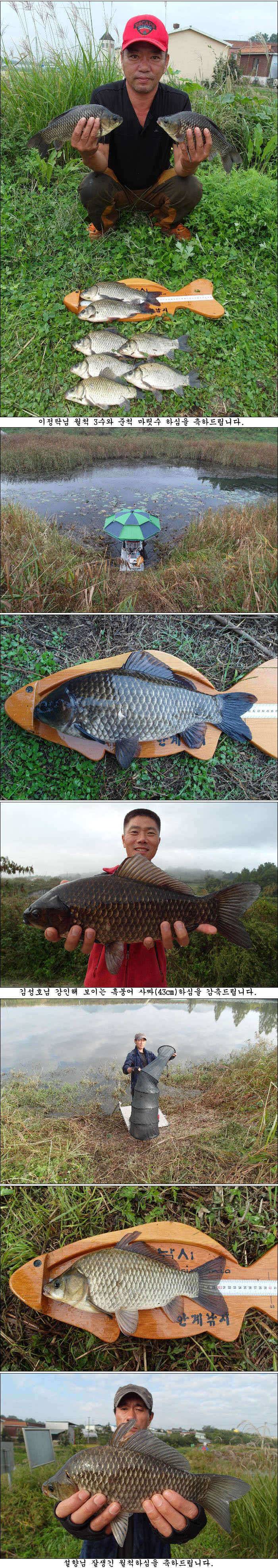 46cm43cm에 덩어리허리급월척들 조황 (조황조행기 - 특파원조황)