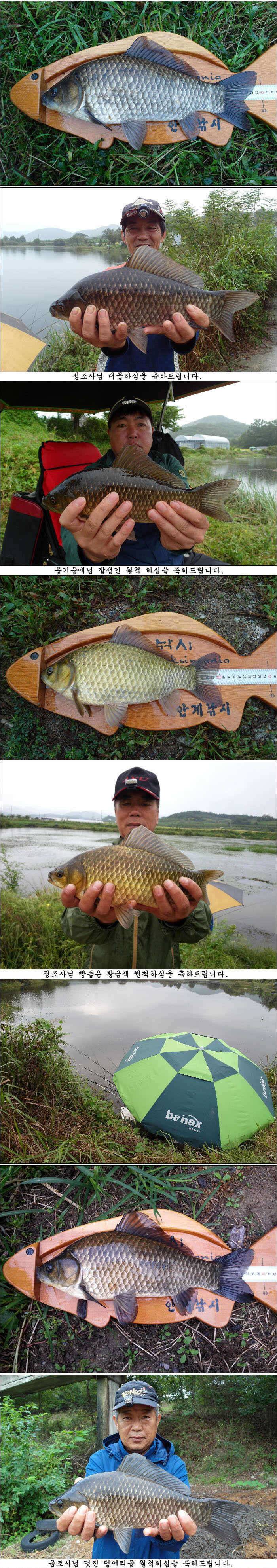본격적인 가을시즌 시작입니다 (조황조행기 - 특파원조황)