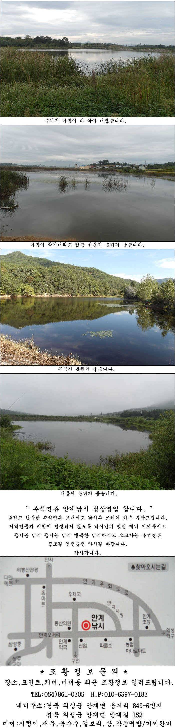 풍성한 가을과 조황 (조황조행기 - 특파원조황)