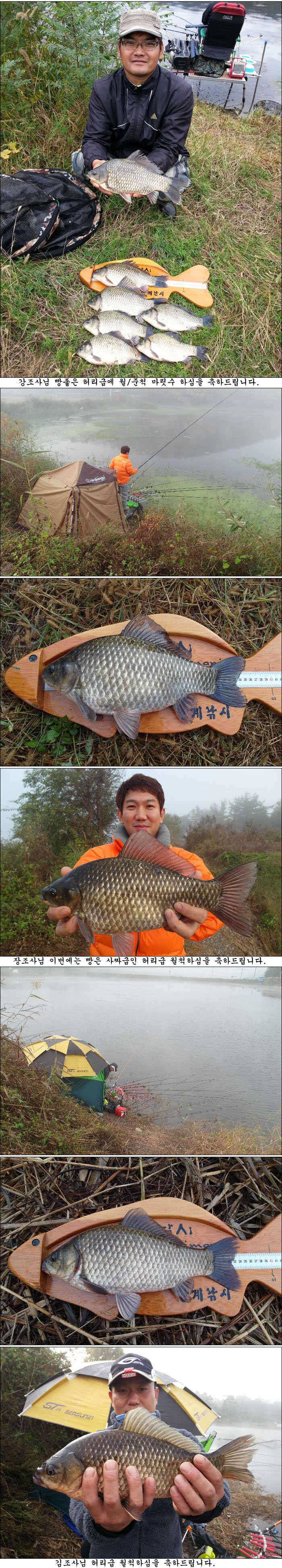 깊어가는 가을 조황소식 올립니다 (조황조행기 - 특파원조황)