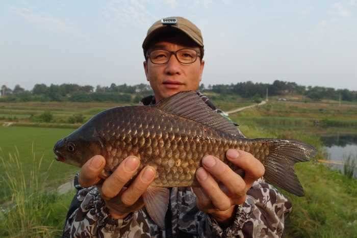 지난 주말과 금주 주중 조황소식입니다 (조황조행기 - 특파원조황)