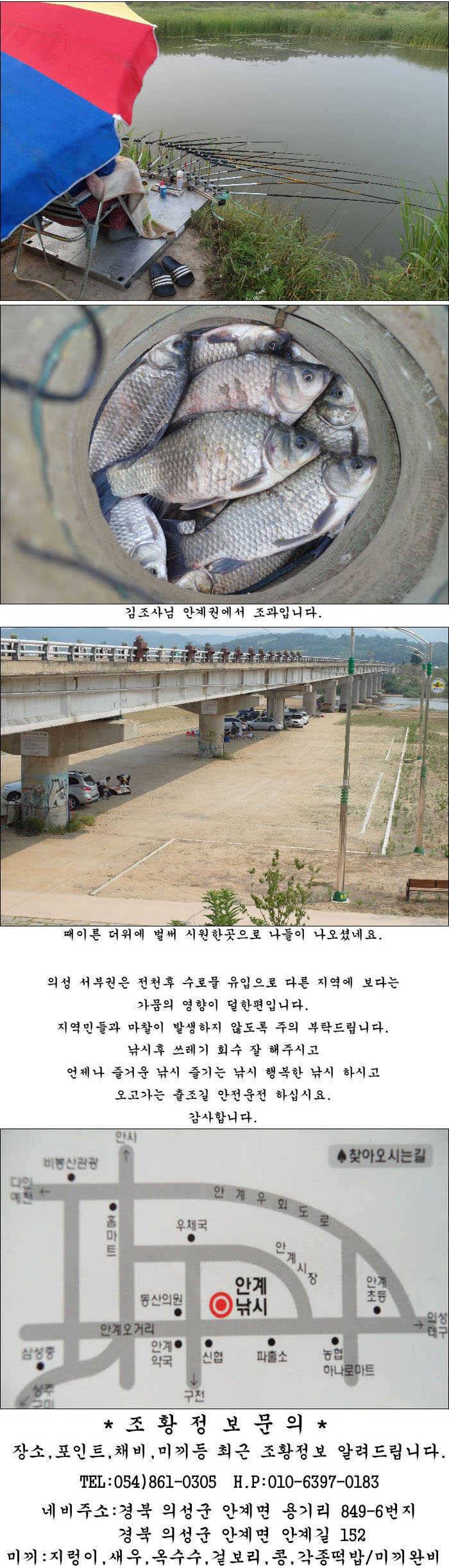 지난 주말과 금주 주중 조황소식입니다 (조황조행기 - 특파원조황)