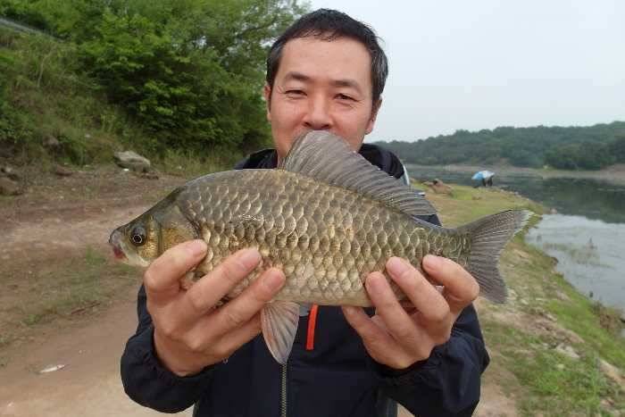 배수와 가뭄속에 호조황 (조황조행기 - 특파원조황)