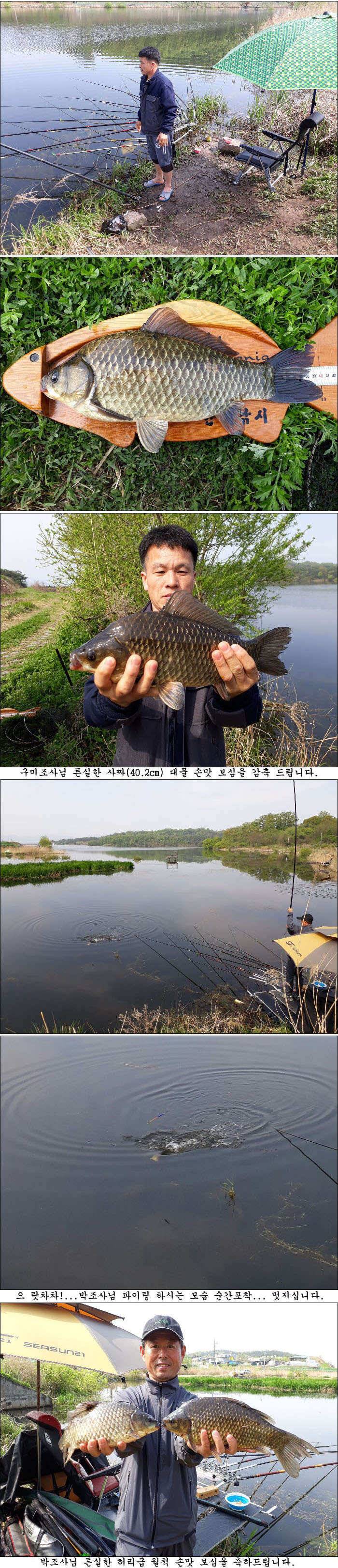 5월 초순 조황소식 올립니다4월20일5월1일까지 (조황조행기 - 특파원조황)