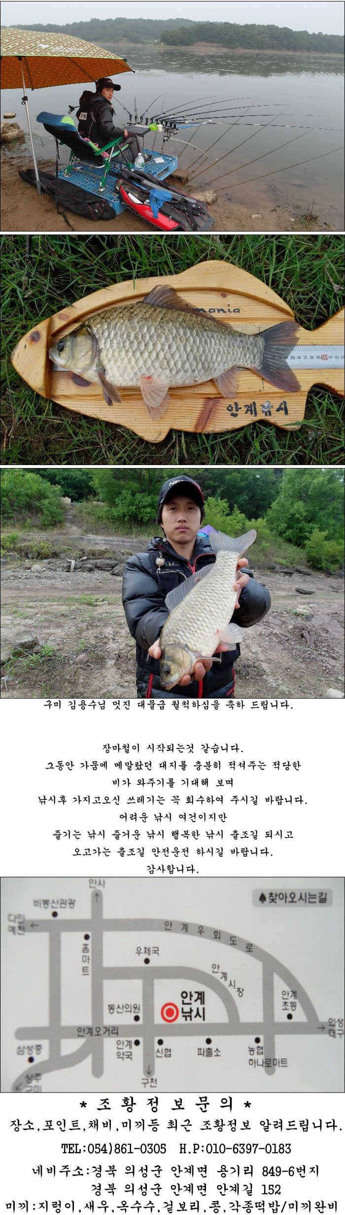 허리급에 월척들 (조황조행기 - 특파원조황)
