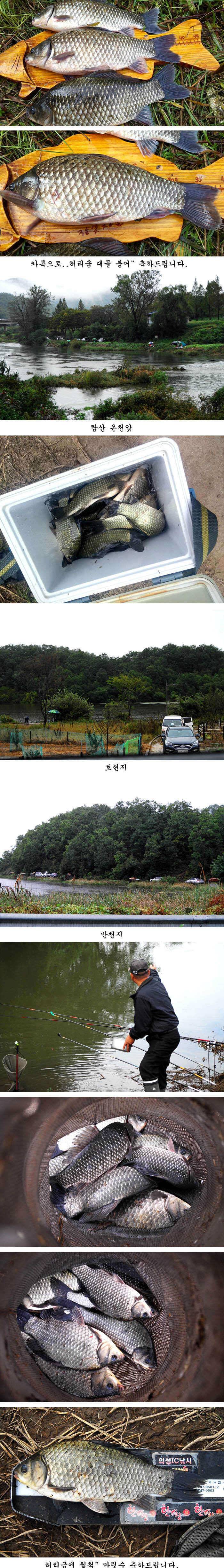 의성권 조황입니다 (조황조행기 - 특파원조황)