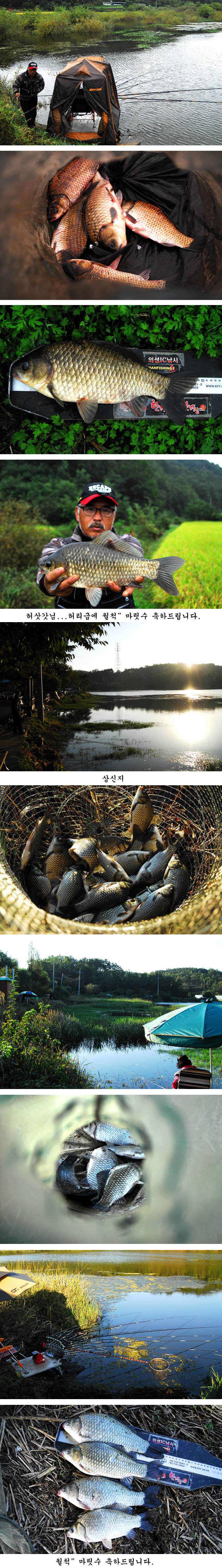 의성권 조황입니다 (조황조행기 - 특파원조황)