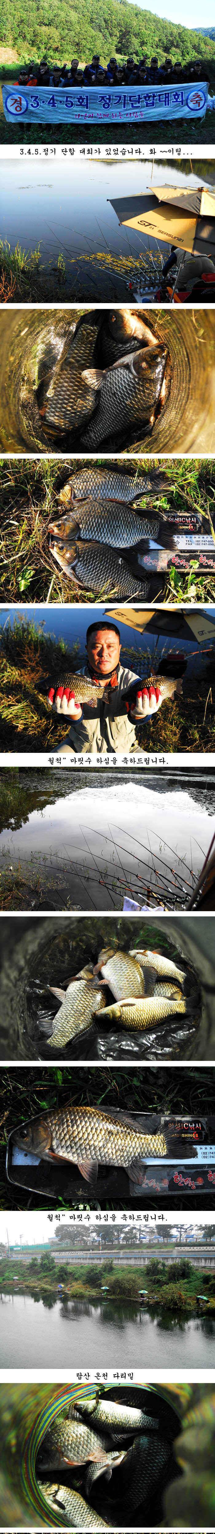 의성권 조황입니다 (조황조행기 - 특파원조황)