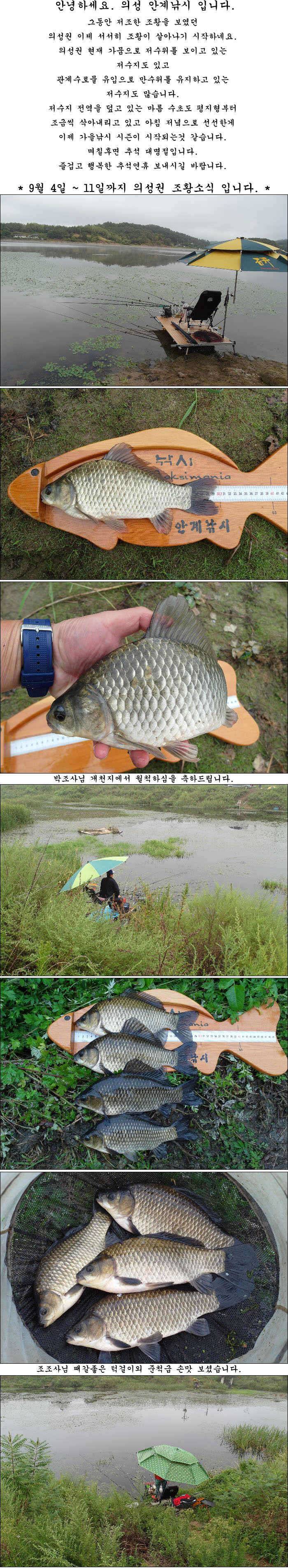 초가을 시즌 조황소식 올립니다 (조황조행기 - 특파원조황)