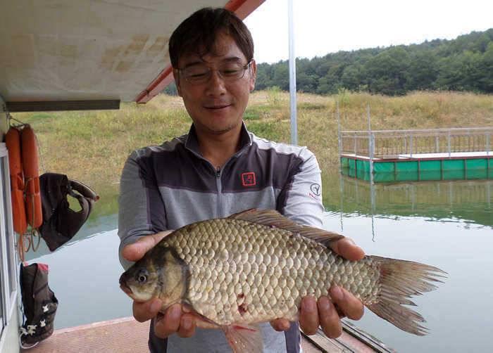 하천낚시터 385cm 대물급붕어 소식입니다 (조황조행기 - 특파원조황)