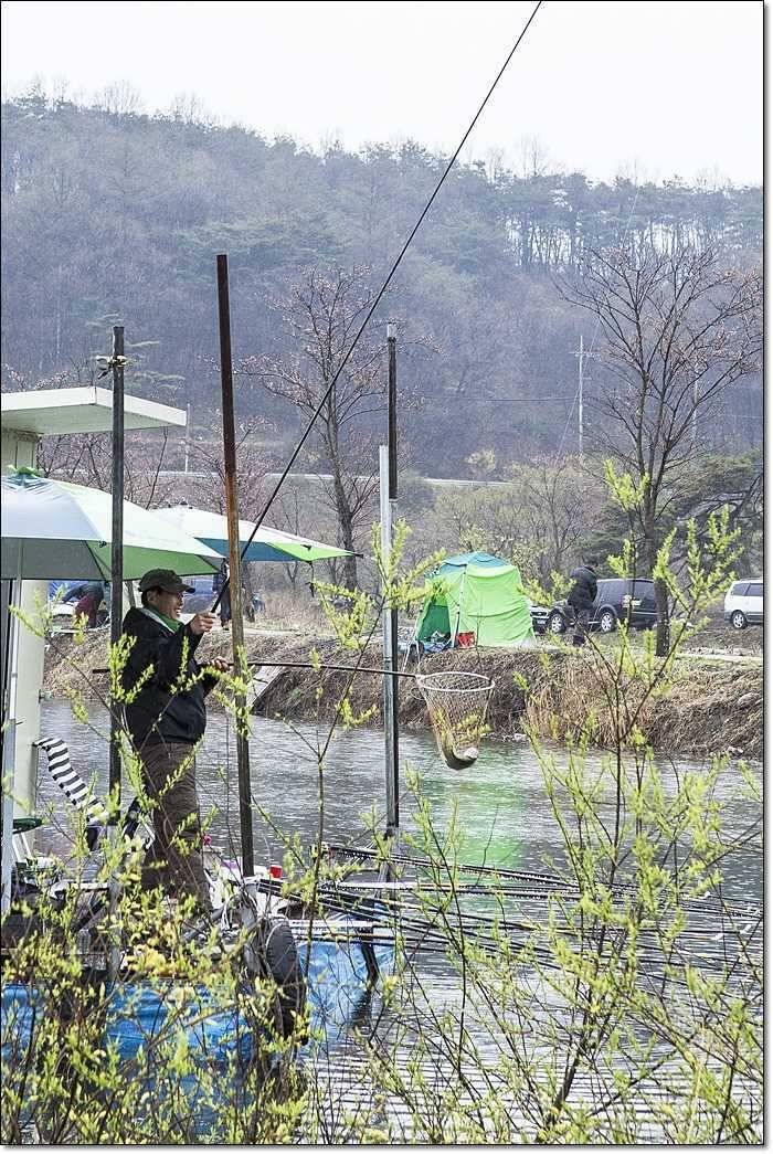 칠성지 조황 (조황조행기 - 특파원조황)