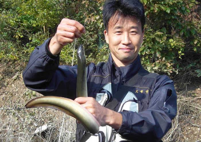 주말 하천낚시터 붕어 장어소식 (조황조행기 - 특파원조황)