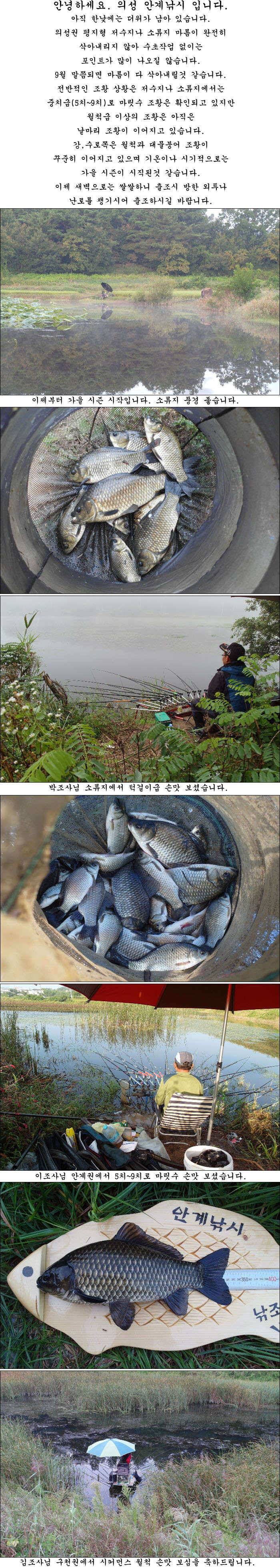 가을 시즌을 알리는 조황소식 올립니다 (조황조행기 - 특파원조황)