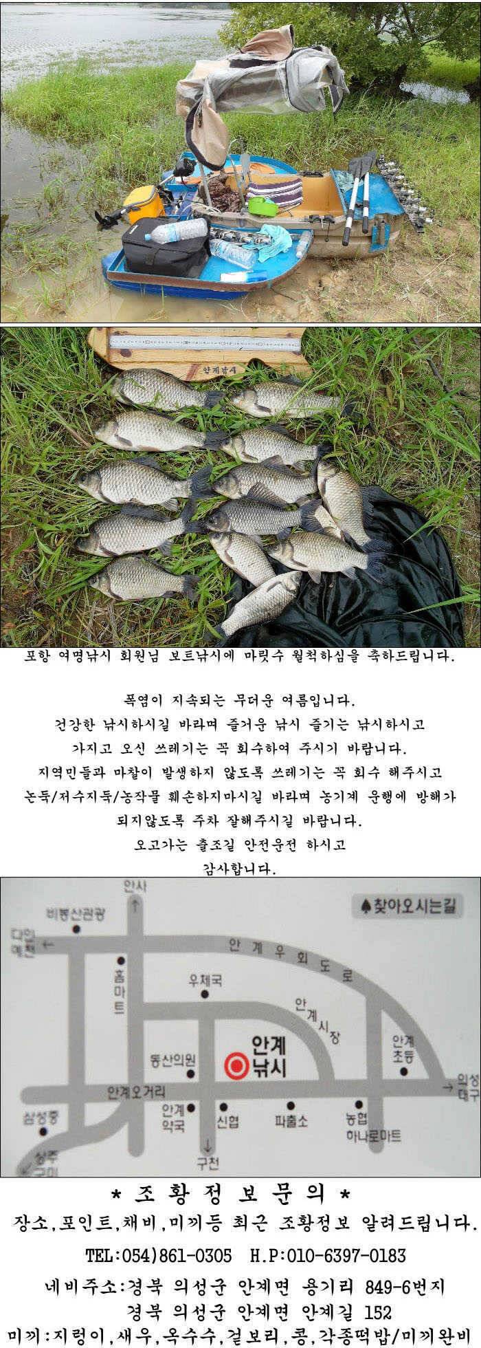 대물에 허리급에 마릿수 월척들 (조황조행기 - 특파원조황)