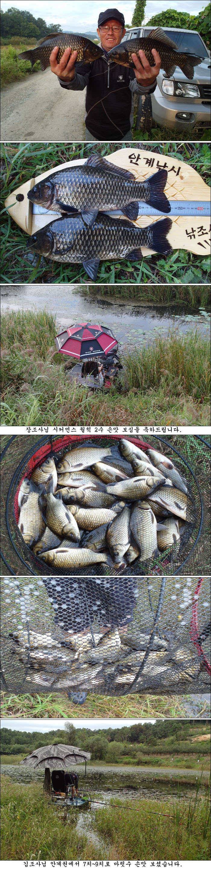 가을 시즌을 알리는 조황소식 올립니다 (조황조행기 - 특파원조황)
