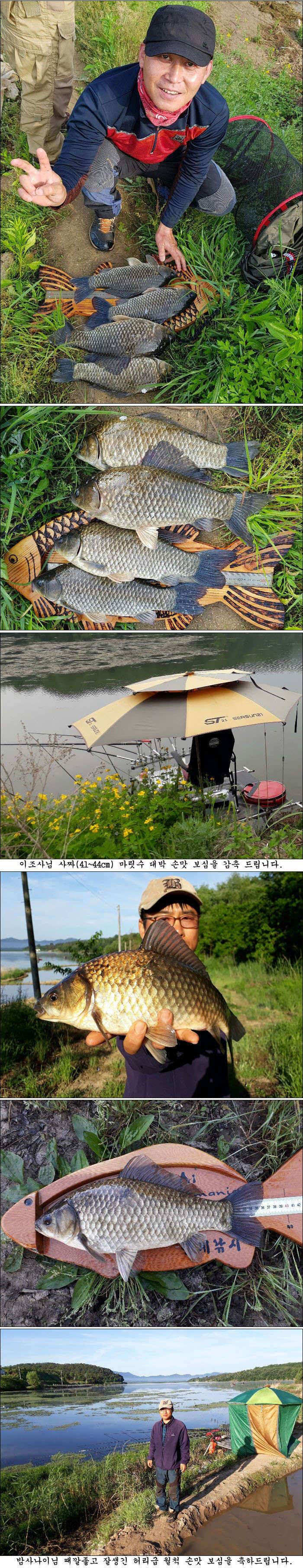 5월 마지막주 조황소식 올립니다 (조황조행기 - 특파원조황)
