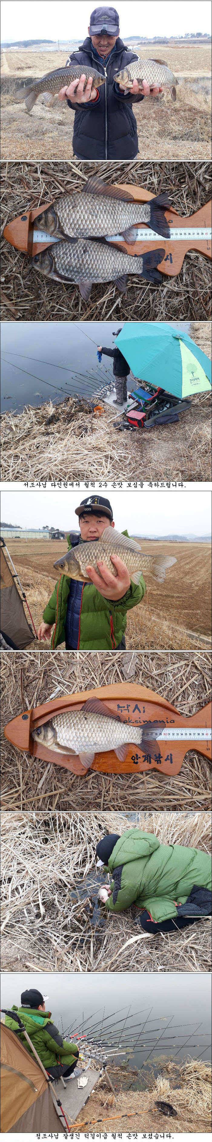 의성권 올해 첫 조황소식 올립니다 (조황조행기 - 특파원조황)