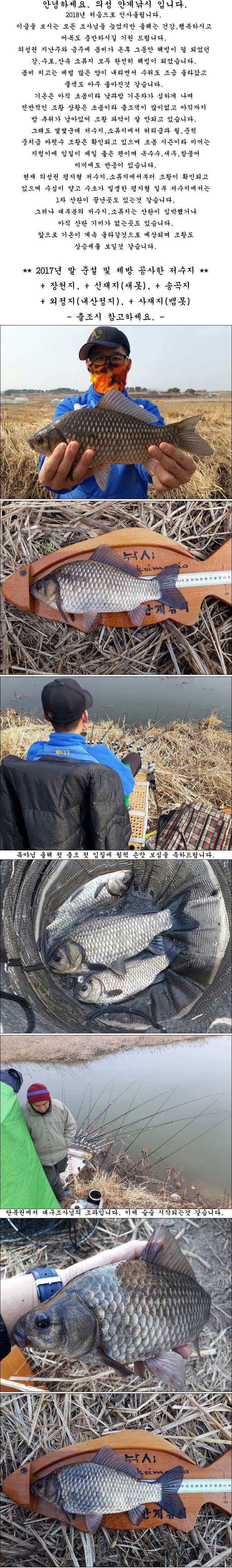 의성권 올해 첫 조황소식 올립니다 (조황조행기 - 특파원조황)