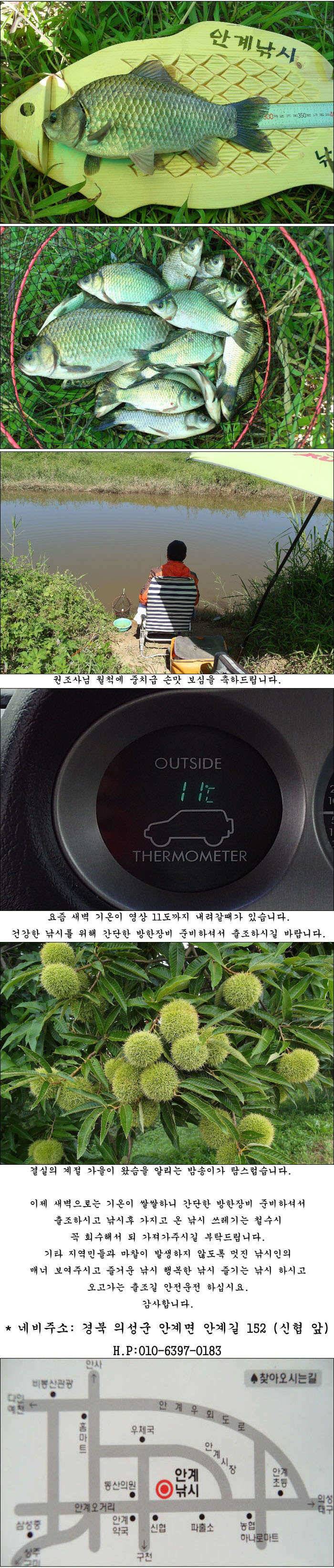 지난 조황과 최근 조황소식 올립니다 (조황조행기 - 특파원조황)