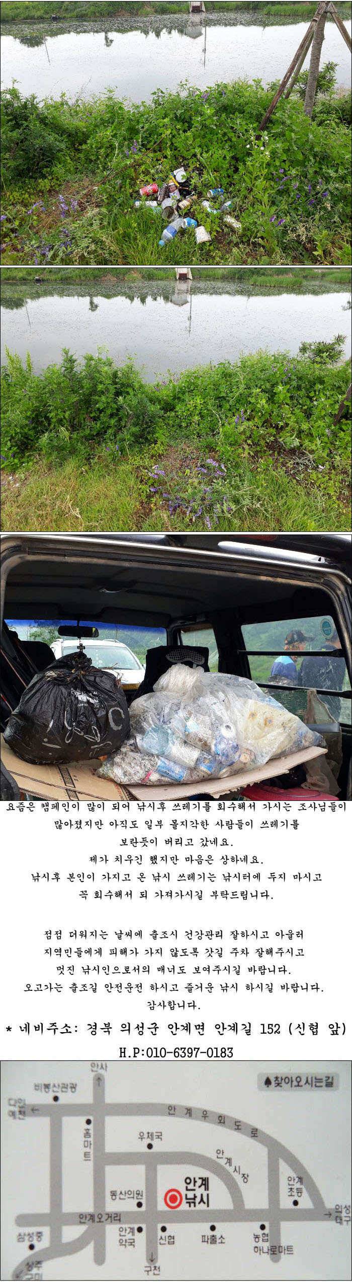 6월 초순 조황사짜 마릿수소식 올립니다 (조황조행기 - 특파원조황)