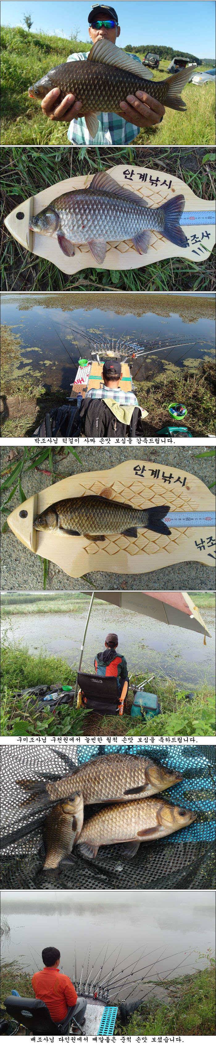 지난 조황과 최근 조황소식 올립니다 (조황조행기 - 특파원조황)