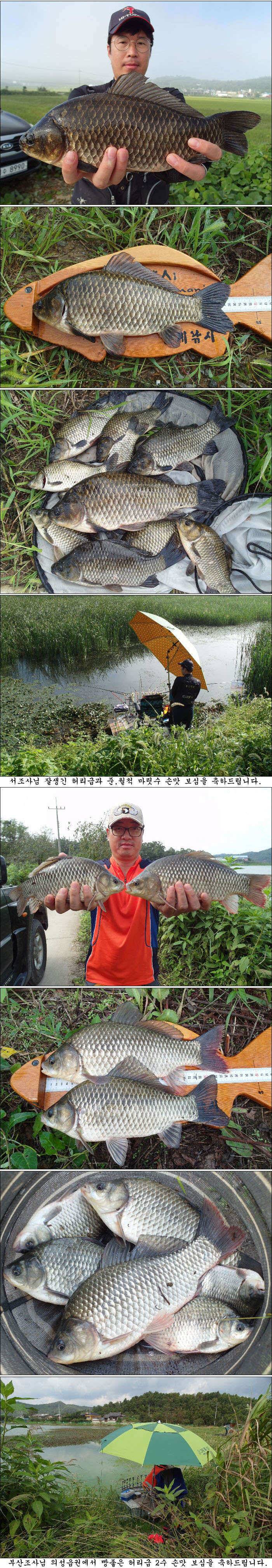 가을시즌 시작입니다 (조황조행기 - 특파원조황)