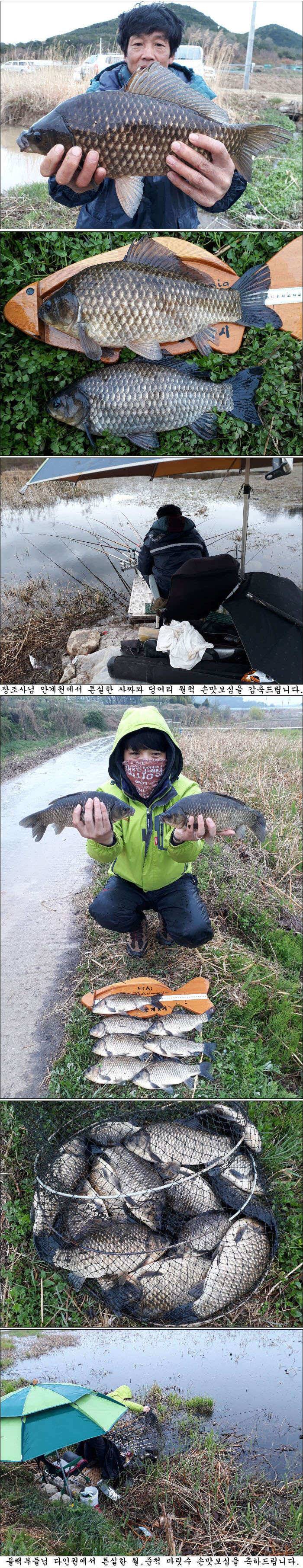 지난 조황과 최근 조황소식 올립니다 (조황조행기 - 특파원조황)