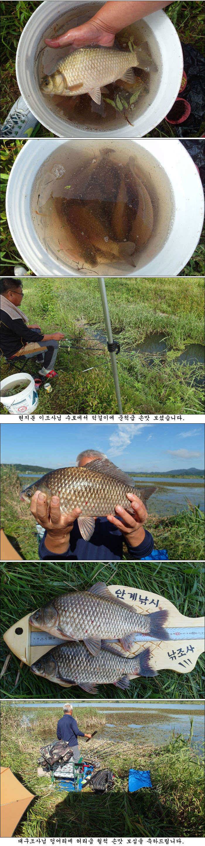지난 조황과 최근 조황소식 올립니다 (조황조행기 - 특파원조황)