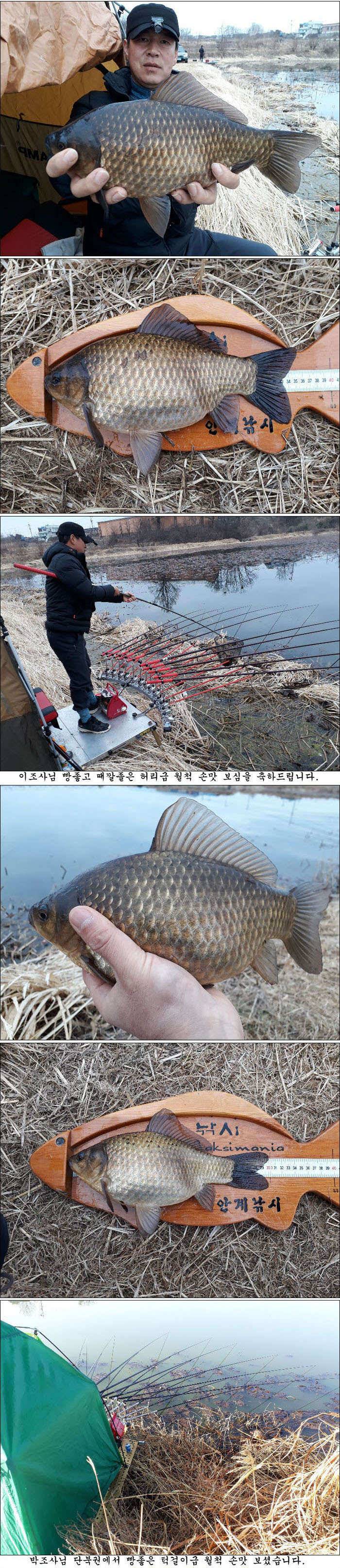 의성권 올해 첫 조황소식 올립니다 (조황조행기 - 특파원조황)