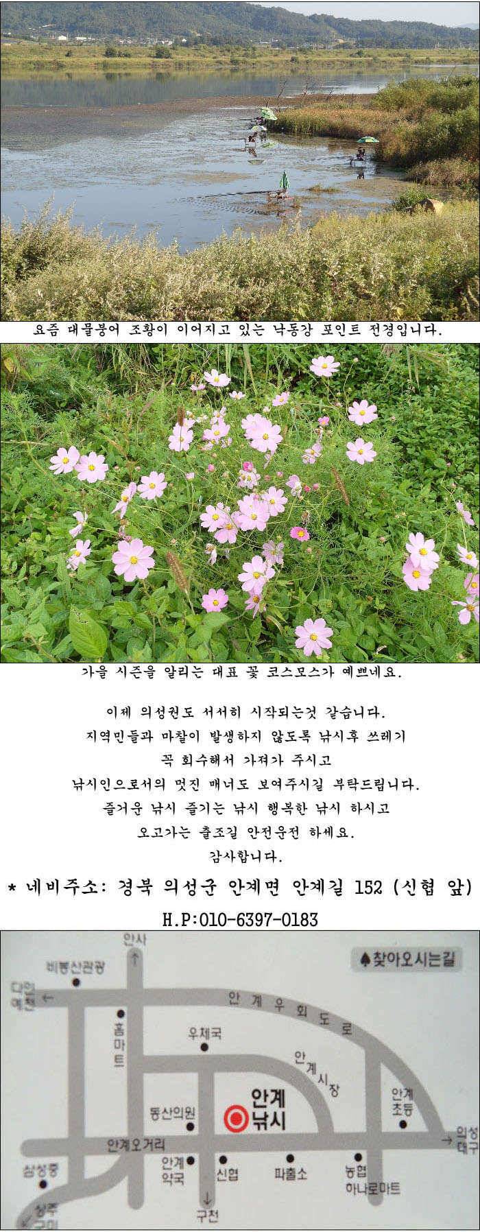 가을 시즌을 알리는 조황소식 올립니다 (조황조행기 - 특파원조황)