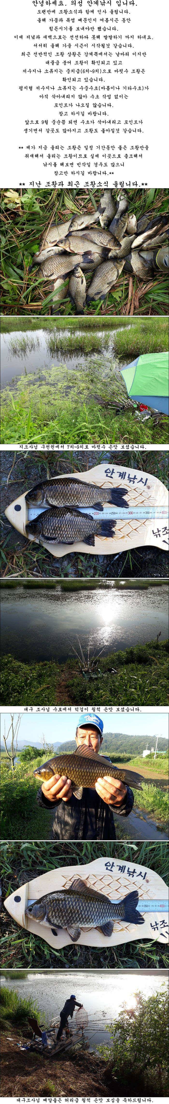 지난 조황과 최근 조황소식 올립니다 (조황조행기 - 특파원조황)