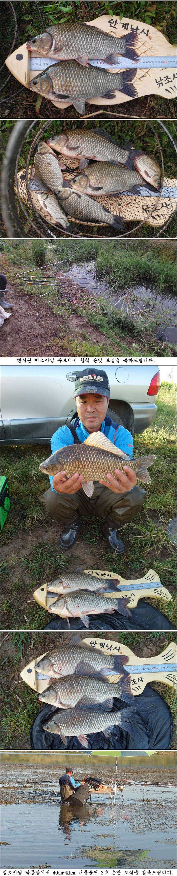 가을 시즌을 알리는 조황소식 올립니다 (조황조행기 - 특파원조황)