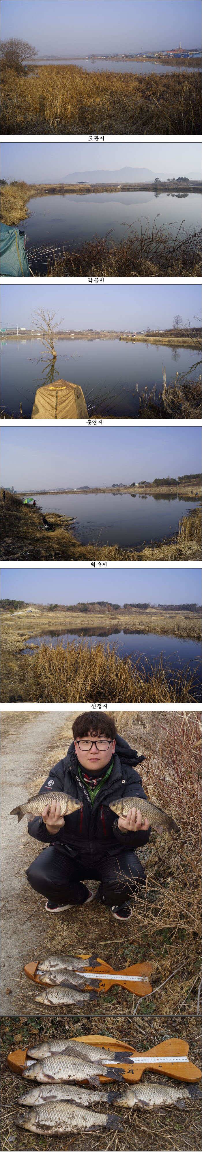 봄을 알리는 봄 붕어 조황소식 (조황조행기 - 특파원조황)
