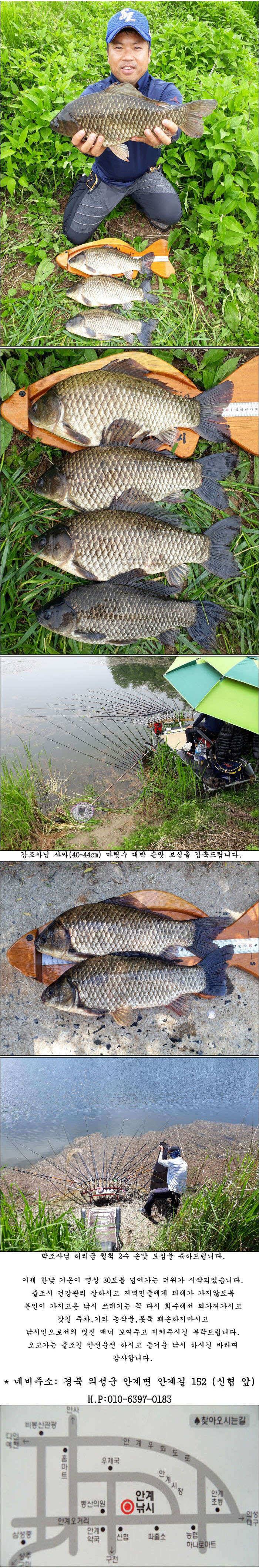 5월 마지막주 조황소식 올립니다 (조황조행기 - 특파원조황)