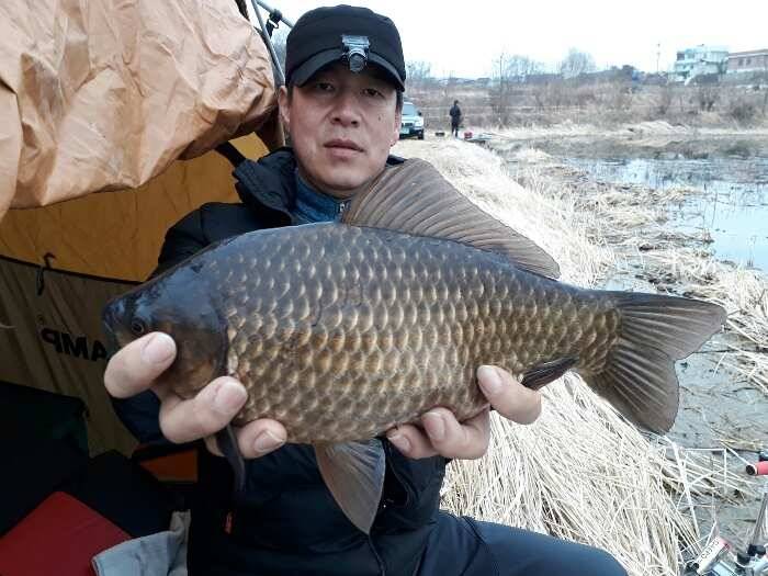 의성권 올해 첫 조황소식 올립니다 (조황조행기 - 특파원조황)