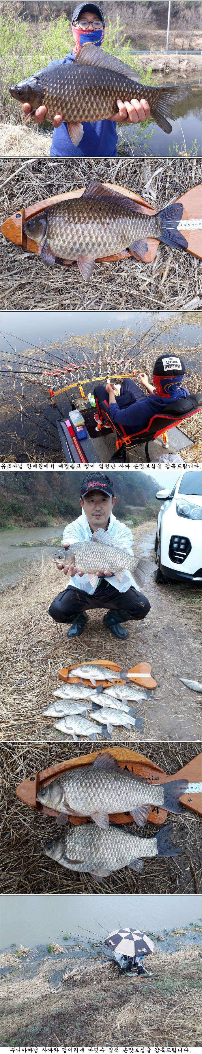 지난 조황과 최근 조황소식 올립니다 (조황조행기 - 특파원조황)