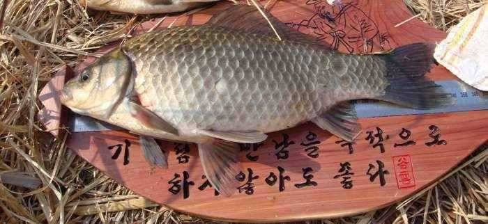 3월2주차 고흥권조황소식 (조황조행기 - 특파원조황)