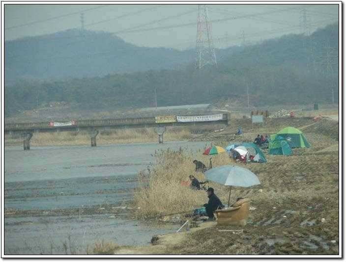 남양호홍원리수로 조황 (조황조행기 - 특파원조황)