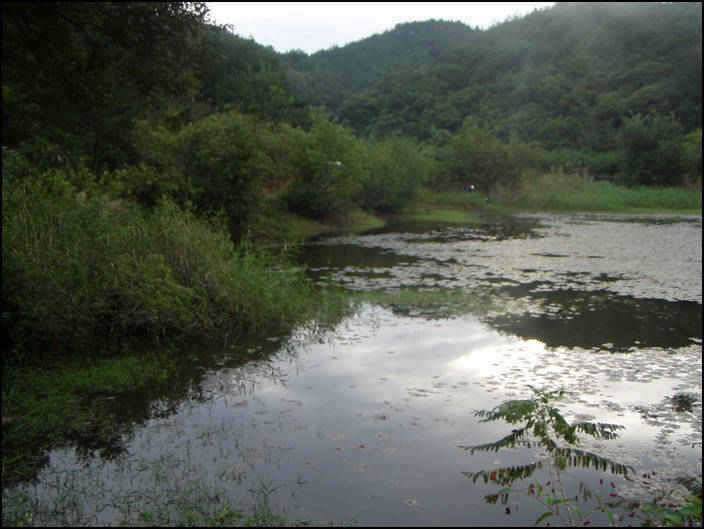 영천권 추석 전후 조황소식 (조황조행기 - 특파원조황)