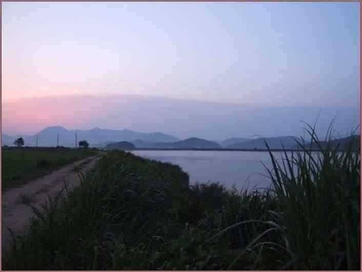 고흥권 조황소식 (조황조행기 - 특파원조황)