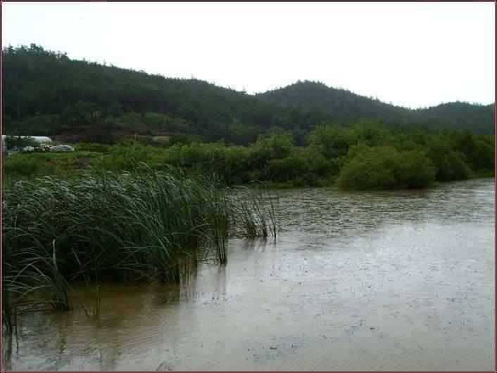 고흥권 배수현황 (조황조행기 - 특파원조황)