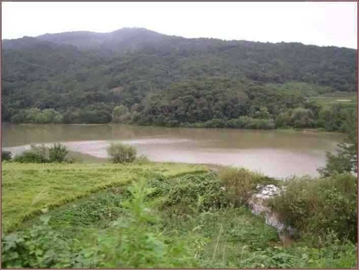 고흥권 조황소식 (조황조행기 - 특파원조황)