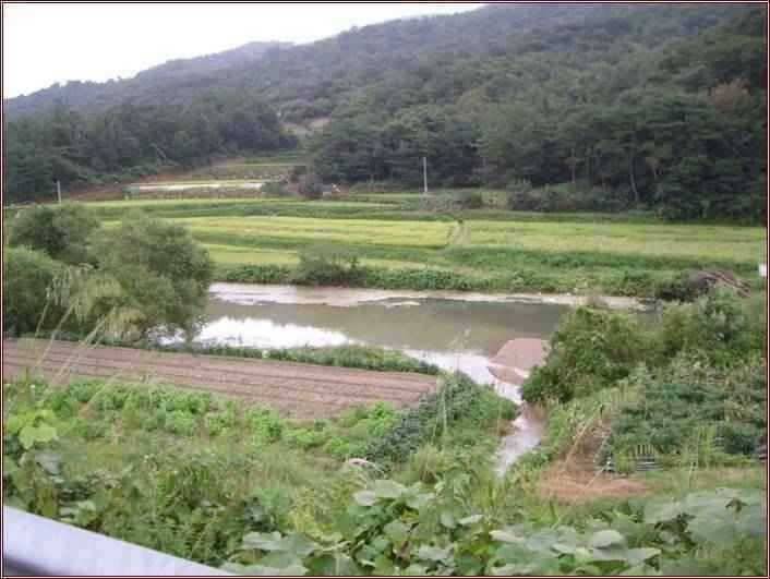 고흥권 조황소식 (조황조행기 - 특파원조황)