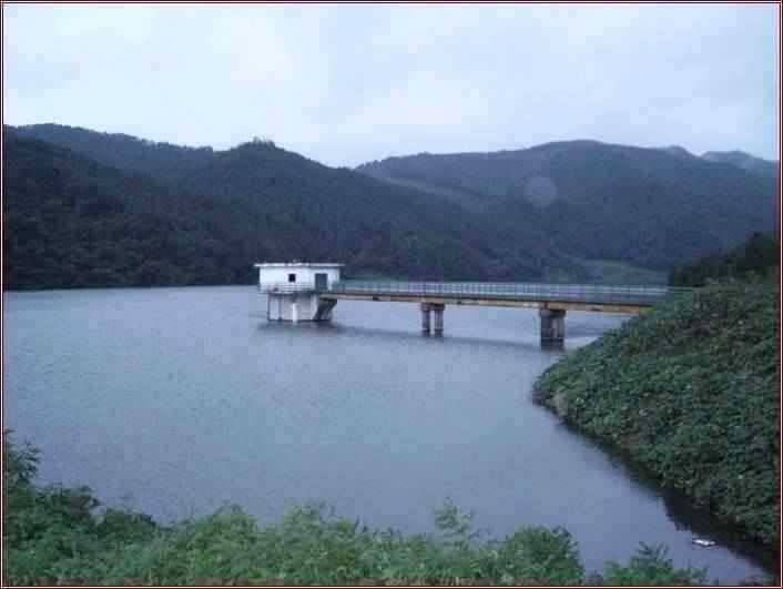 고흥권 조황소식 (조황조행기 - 특파원조황)