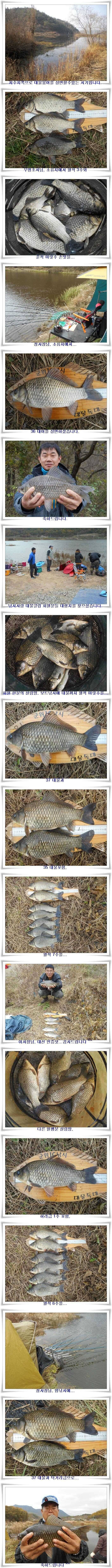 이제는 대어들이 (조황조행기 - 특파원조황)