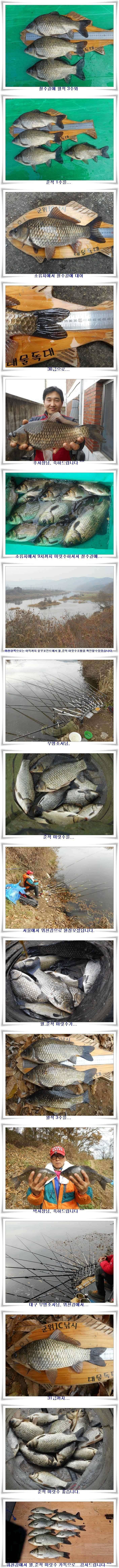 이제는 대어들이 (조황조행기 - 특파원조황)