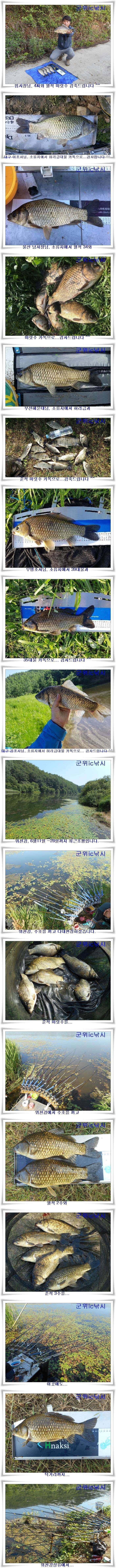 지난 조황과 최근 호조황 (조황조행기 - 특파원조황)
